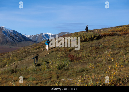 Alaska Denali National Park day hiking Stockfoto