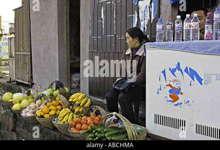 CHINA FENGDU unternehmungslustige junge Bewohner Fengdu verkaufen frisches Obst und Mineralwasser für Touristen Stockfoto