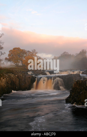 Low Force Wasserfall im Herbst mit frühen Morgennebel steigt über den Fluss Tees oberen Teesdale County Durham UK Stockfoto