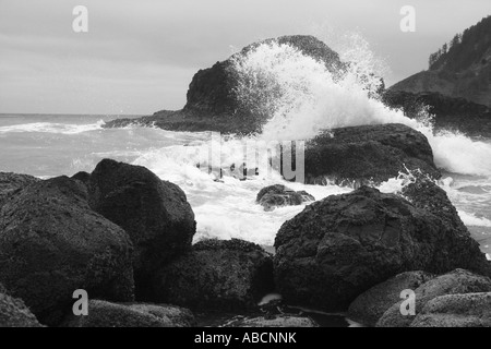 Welle stürzt auf den Felsen an der Küste von Oregon auf Indian Beach im Ecola State Park. Stockfoto