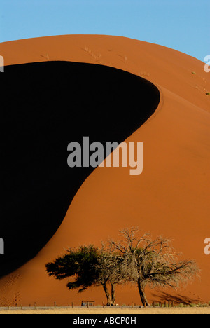 Düne 45 Sossusvlei Namibia Südliches Afrika Stockfoto