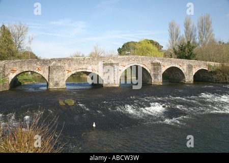 Brücke über den Fluss Exe, Bickleigh, Devon, England Stockfoto