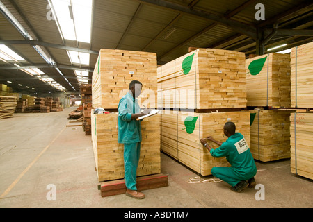 Verarbeitete afrikanisches Mahagoni im Sägewerk, Republik Kongo Stockfoto