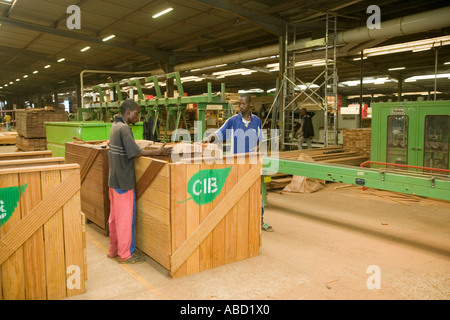 Verarbeitete afrikanisches Mahagoni im Sägewerk, Republik Kongo Stockfoto