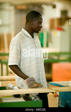 Verarbeitete afrikanisches Mahagoni im Sägewerk, Republik Kongo Stockfoto