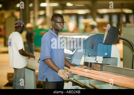 Verarbeitete afrikanisches Mahagoni im Sägewerk, Republik Kongo Stockfoto