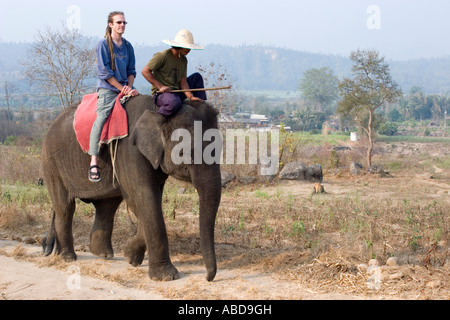 Junger Mann auf Elefanten Trekking in der Nähe von Pai Nord Thailand Stockfoto