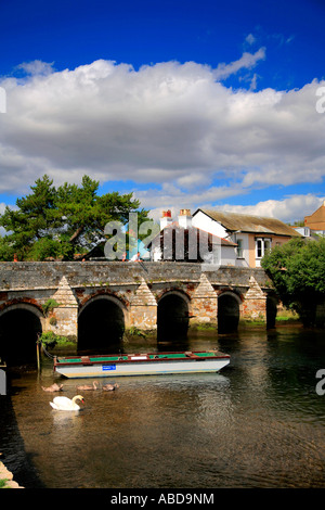 Stadt die Steinbrücke über den Fluss Avon, Christchurch, Dorset, England, Großbritannien, UK Stockfoto