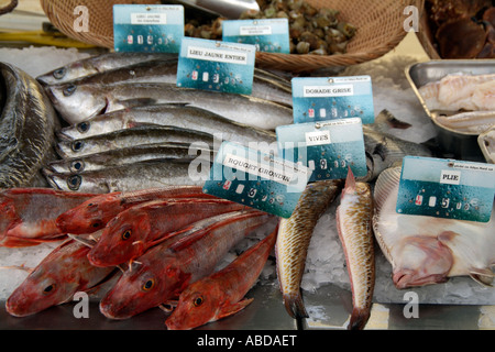 Fischmarkt am Hafen de Bassin in der Nähe von Bayeux Normandie Frankreich-Nordeuropa Stockfoto