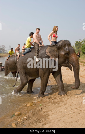 Elefanten planschen und spielen, werfen Sie junge Touristen im Fluss auf Wanderung in der Nähe von Pai Nord Thailand Stockfoto