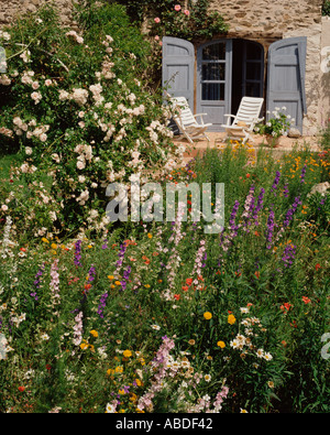 Rosen und andere Blumen im Garten hinter dem Haus Stockfoto