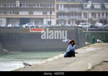 Frankreich, Normandie Fotograf unter Bild der Möwe Stockfoto