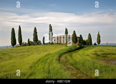 Toskanisches Bauernhaus, Il Cipressino, mit Zypressen umgeben von grünen Feld mit einem grasbewachsenen Weg führt zu ihm gegen einen blauen Himmel mit einigen Wolken Stockfoto