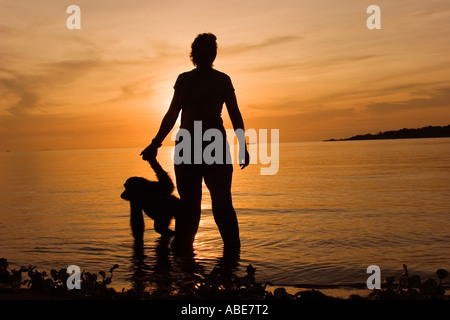 Debbie Cox von Jane Goodall Institute mit geschützten Schimpansen auf Ngamba Island im Lake Victoria Uganda Stockfoto