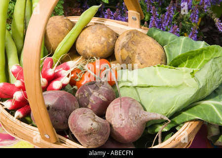 Land-Weidenkorb von Gemüse wie rote Beete, Kartoffeln, Kohl, Rettich, Tomaten und Bohnen Stockfoto