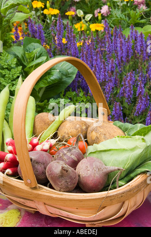 Land-Weidenkorb von Gemüse wie rote Beete, Kartoffeln, Kohl, Rettich, Tomaten und Bohnen Stockfoto