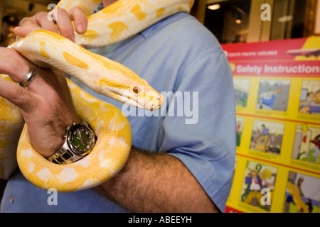 Eine gelbe Schlange.  Auf dem Display als Werbung für "Snakes on a Plane" in Times Square, New York, New York. Stockfoto