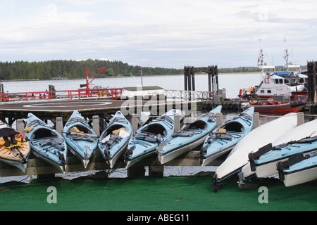 Kajaks, aufgereiht entlang der Ufer von Tofino British Columbia Kanada Stockfoto