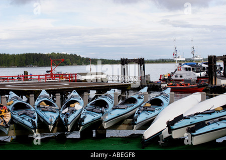 Kajaks, aufgereiht entlang der Ufer von Tofino British Columbia Kanada Stockfoto