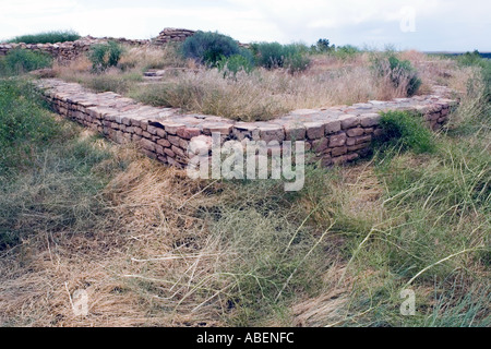 Ruinen der Lowry Pueblo in den Schluchten des alten National Monuments in Colorado Stockfoto