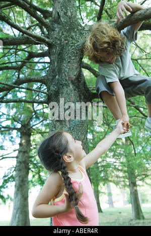 Junge im Baum, die Hand in Hand mit Schwester unten stehen Stockfoto