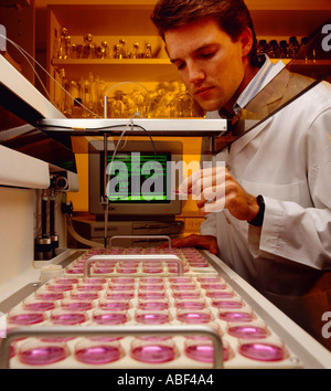 Labor - medizinische Genetik, Amniozentese Zellernte für Chromosomenanalyse / USA. Stockfoto
