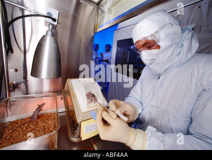 Animal Research Laboratory - Forscher bereitet eine Labor-Maus zu injizieren, während die Kollegen im Hintergrund beraten / USA. Stockfoto