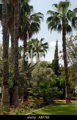 Gärten von Dar Ayniwen Hotel in der Palmerie, Marrakesch, Marokko. Stockfoto