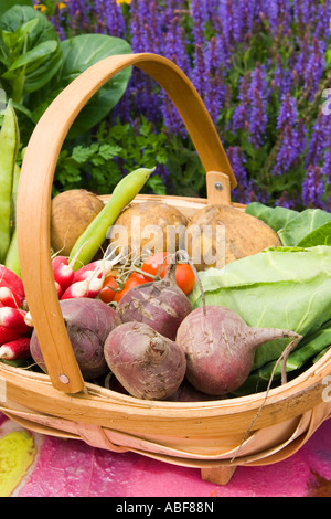 Land Weidenkorb Gemüse einschließlich, rote Rüben, Kartoffeln, Kohl, Rettich, Tomaten und Bohnen Stockfoto