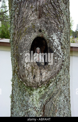 St Mary in einem Baum hohl Gorecko Koscielne Polen Stockfoto