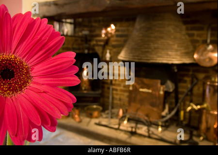 Gerbera Blume neben Kamin in einem Pub mit Close up aus Blütenblättern Stockfoto