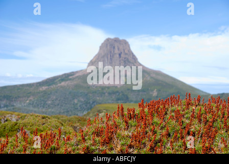 Scheune-Bluff Stockfoto