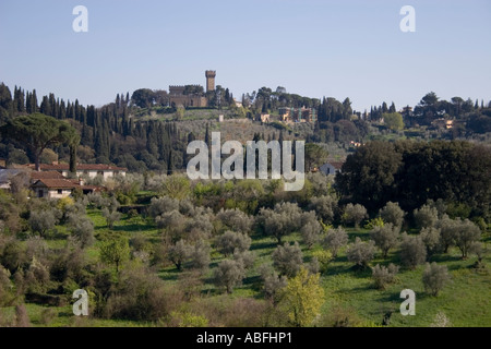 Blick über Felder der Olivenbäume auf die Boboli-Gärten über Florenz, Toskana, Italien, Europa. Stockfoto