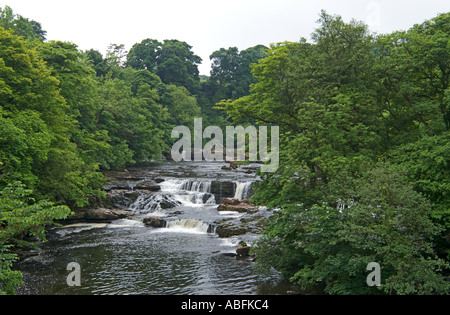 Wasserfall bei Aysgarth in den Yorkshire Dales National Park North Yorkshire England Stockfoto