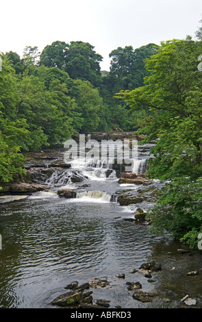 Wasserfall bei Aysgarth in den Yorkshire Dales National Park North Yorkshire England Stockfoto