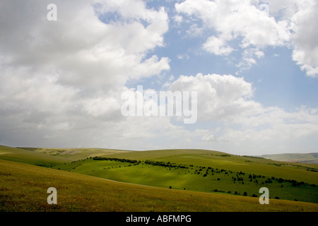 Panoramablick über South Downs Blick nach Süden in Richtung Mount Caburn und Firle Beacon Stockfoto
