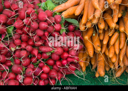 Trauben von Hackfrucht Rettich und Möhren zu verkaufen. Stockfoto