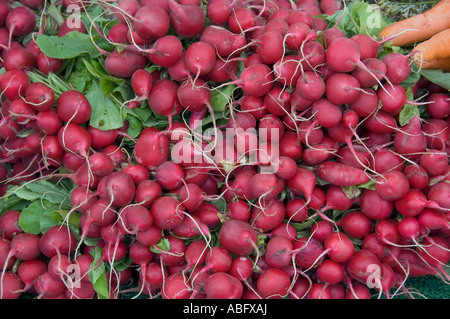 Trauben von Hackfrucht Radieschen zum Verkauf. Stockfoto