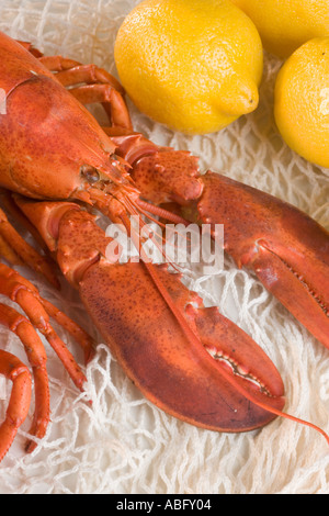 Stillleben mit Hummer und Zitronen Stockfoto