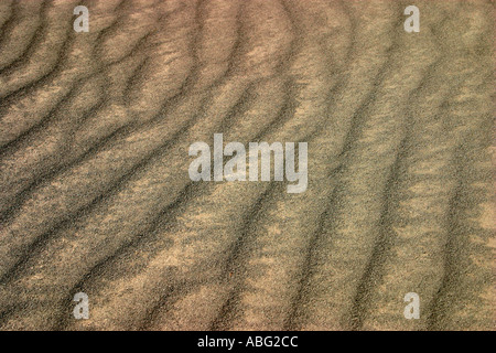 Kräuselt sich Sand Stockfoto