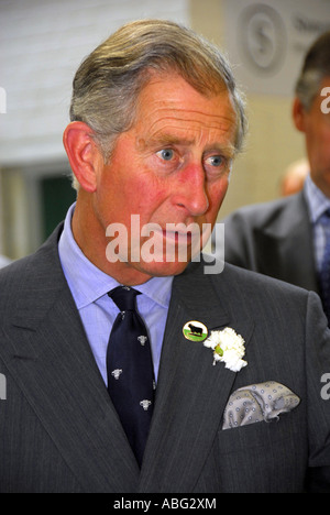 Nachdenklichen Porträt von HRH Prinz Charles - Prince Of Wales. Stockfoto