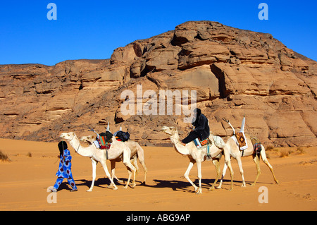 Tuareg mit weißen Mehari Reiten Dromedar, Acacus Berge, Libyen Stockfoto