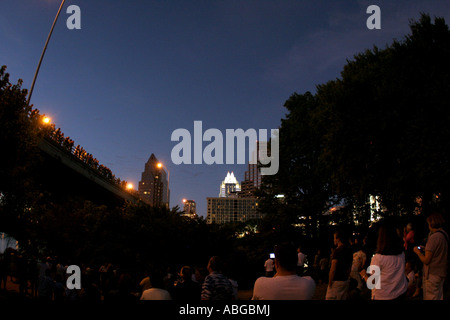 Silhouette des mexikanischen Bulldoggfledermäuse Fledermäuse fliegen in der Dämmerung von der Congress Avenue Bridge in der Innenstadt von Austin Texas USA. Stockfoto