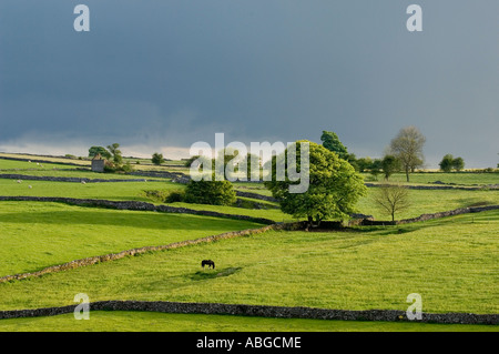 Sturm Wolken über Moor nahe dem Dorf von Grindon Staffordshire Stockfoto