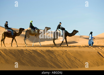 Berber führt Sonnenaufgang Kamel Touristenzug durch große Sanddünen Erg Chebbi, Marokko Stockfoto
