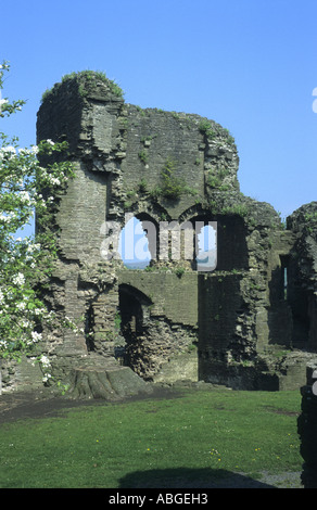 Abergavenny Castle, Monmouthshire, Wales, UK Stockfoto