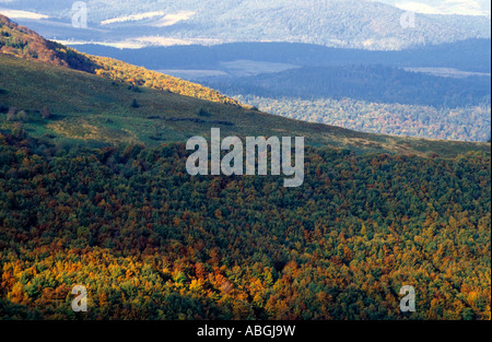 Weiten Waldgebieten im Bieszczady-gebirge Nationalpark Stockfoto