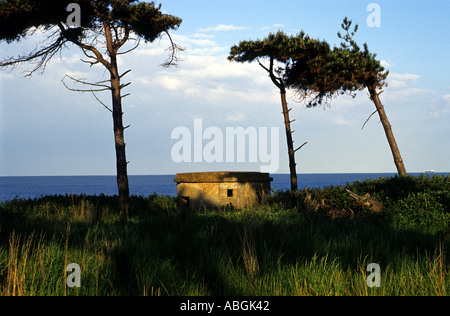 Bunker an der Küste von Suffolk in Bawdsey, UK. Stockfoto