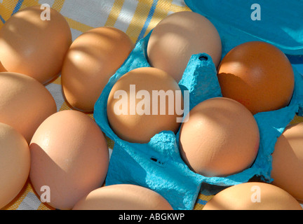 Eiern in einem blauen Karton Stockfoto