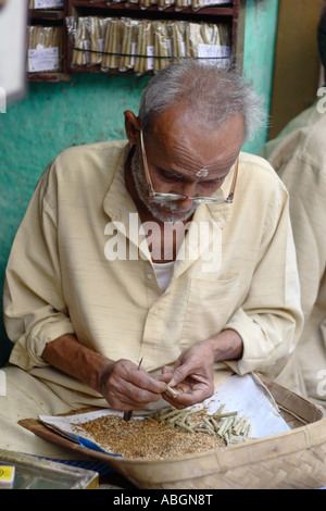 Indischer Mann macht Bidies (handgemachte Zigaretten) in eine kleine Gasse-Shop, Varanasi, Indien Stockfoto